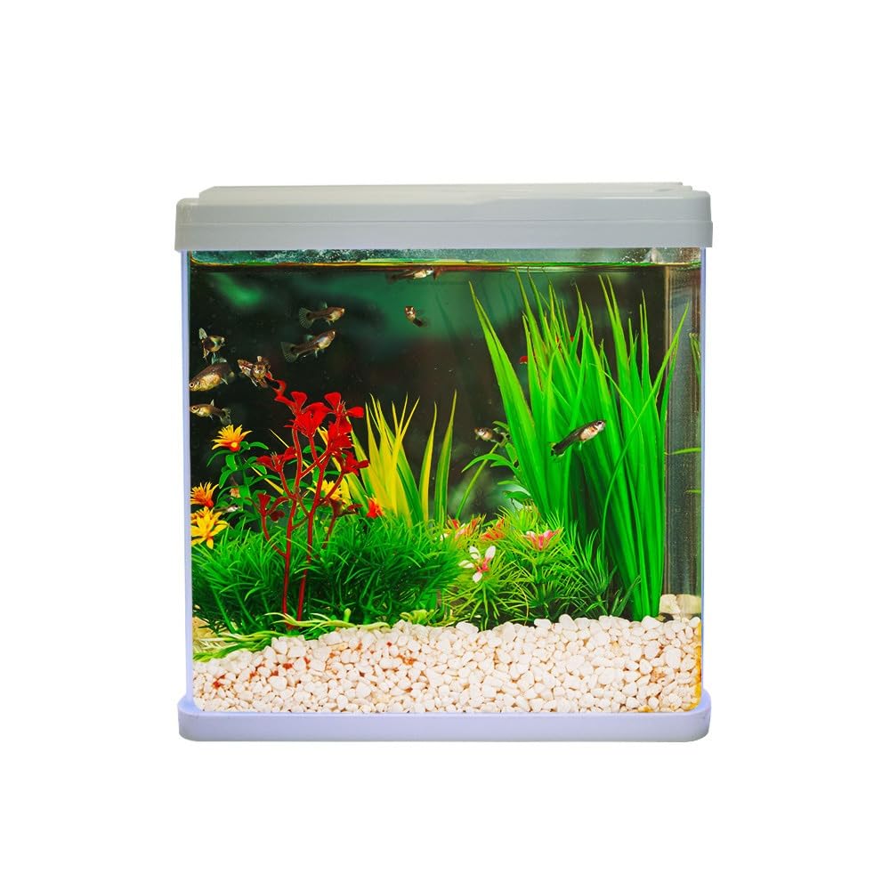 Swell Aquaventure Glass Aquarium, 14L, 30cm (White - Without Heater)