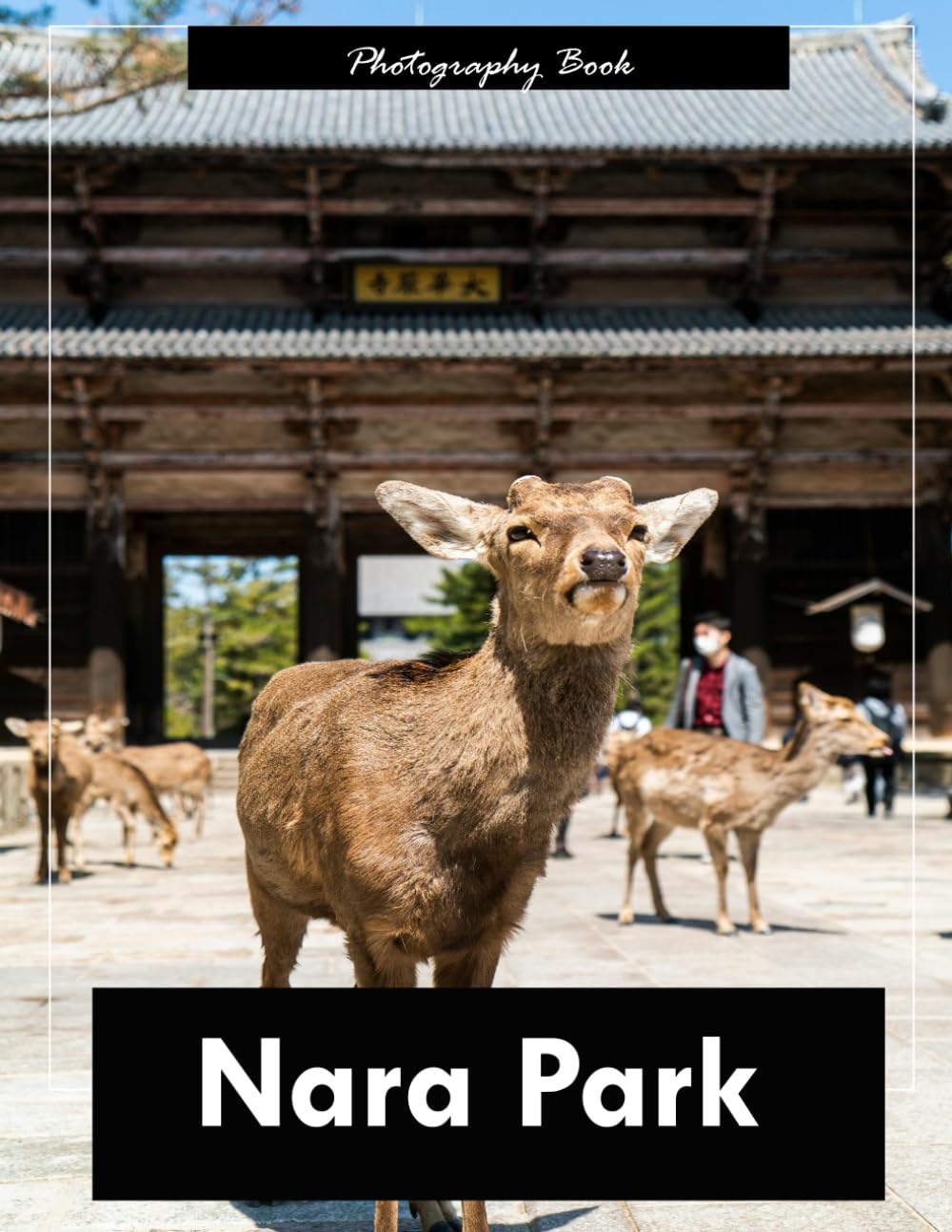 Nara Park: A Visual Journey Through Japan’s Sacred Deer Paradise — Stunning Photography of Ancient Temples, Tranquil Gardens, and Free-Roaming Spirits