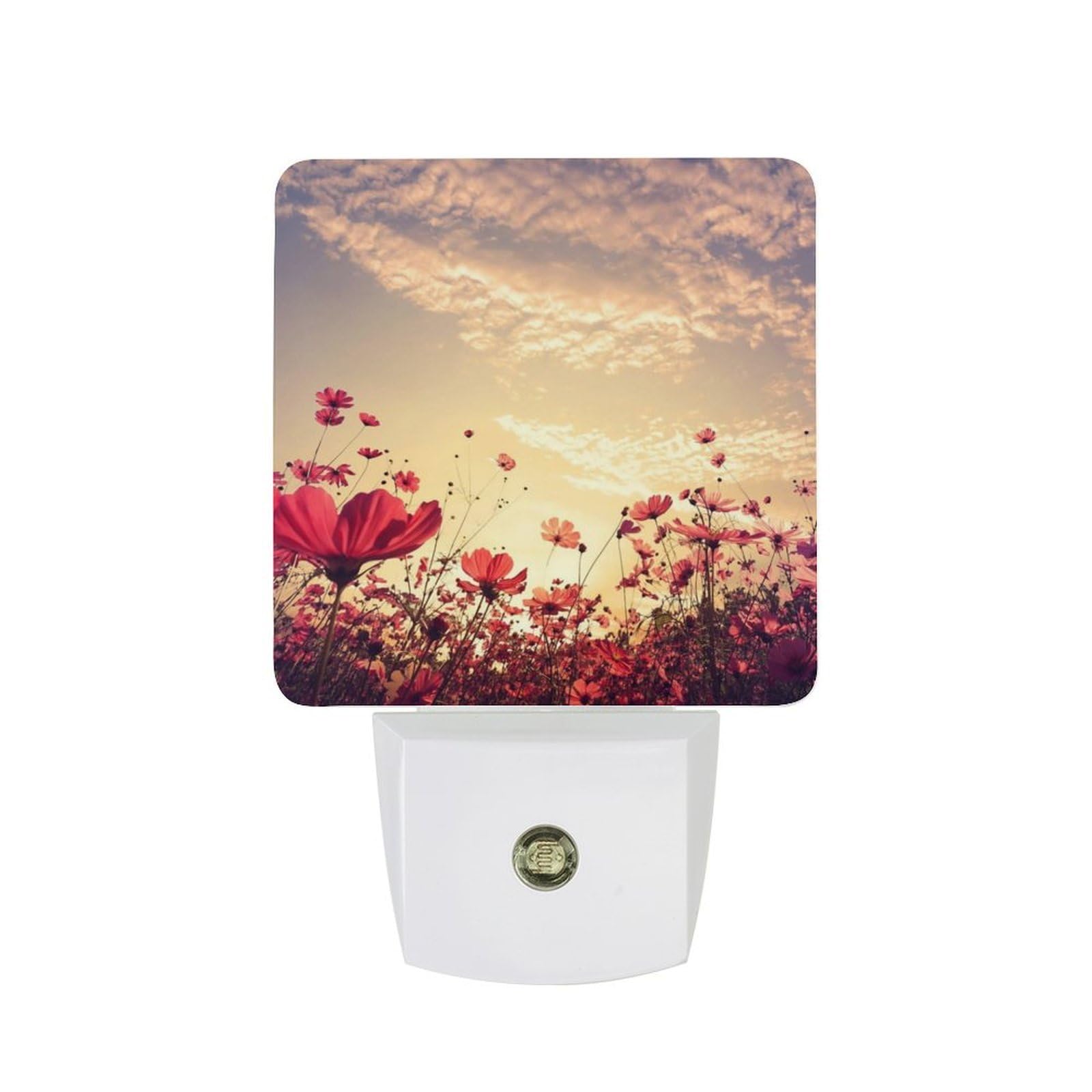 Nqrxadcrt Style Beautiful Pink Red Flower Night Light Plug In Wall Lights Bedside Lamp Bedrooms Home Hallways Decoration