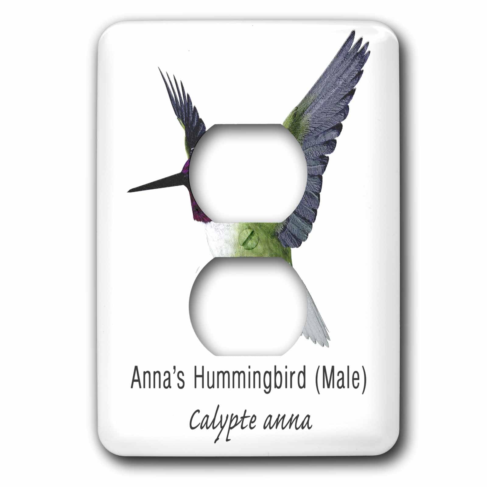 Cacher prise murale usée avec le motif Anna's Colibri mâle 2 prises