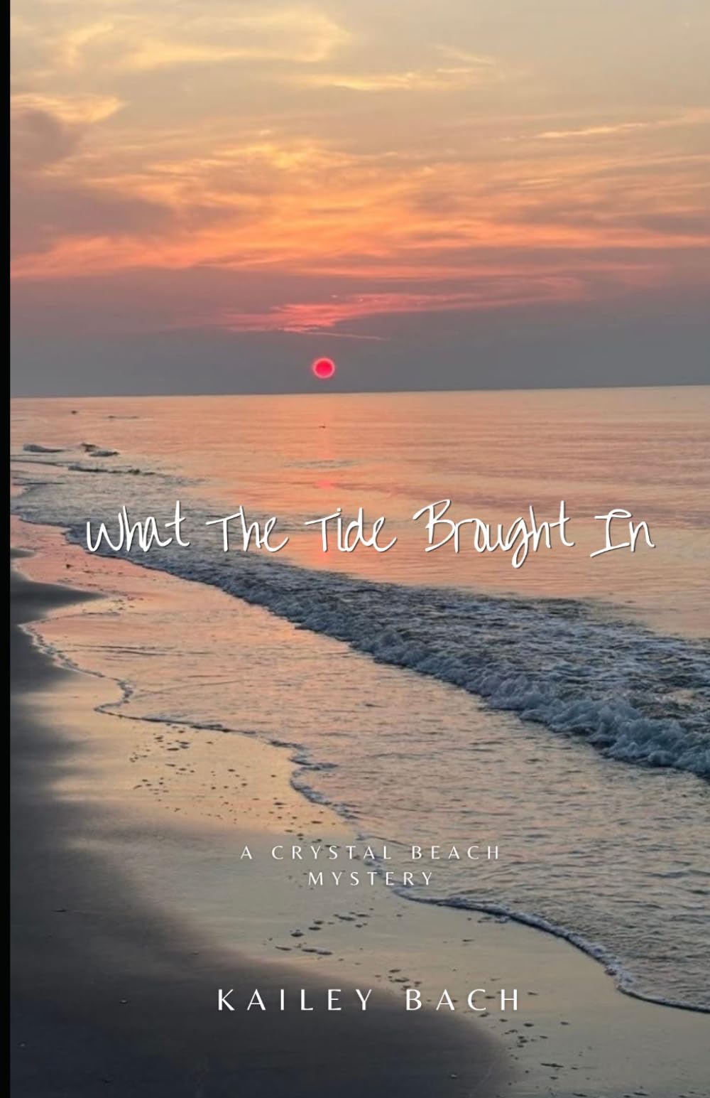 What the Tide Brought In (Crystal Beach Mystery Series)