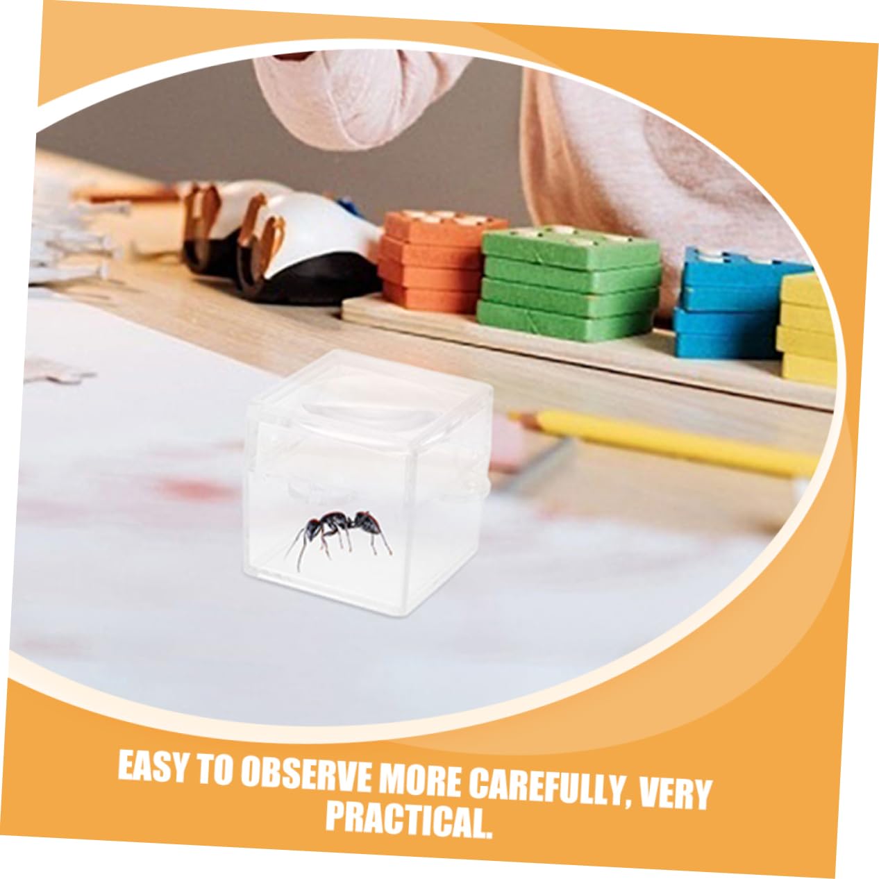 60stücke Insektenbeobachtungsboxen Insect Box Für Outdoor Naturerkundung Klare Kunststoffkonstruktion Für Erwachsene