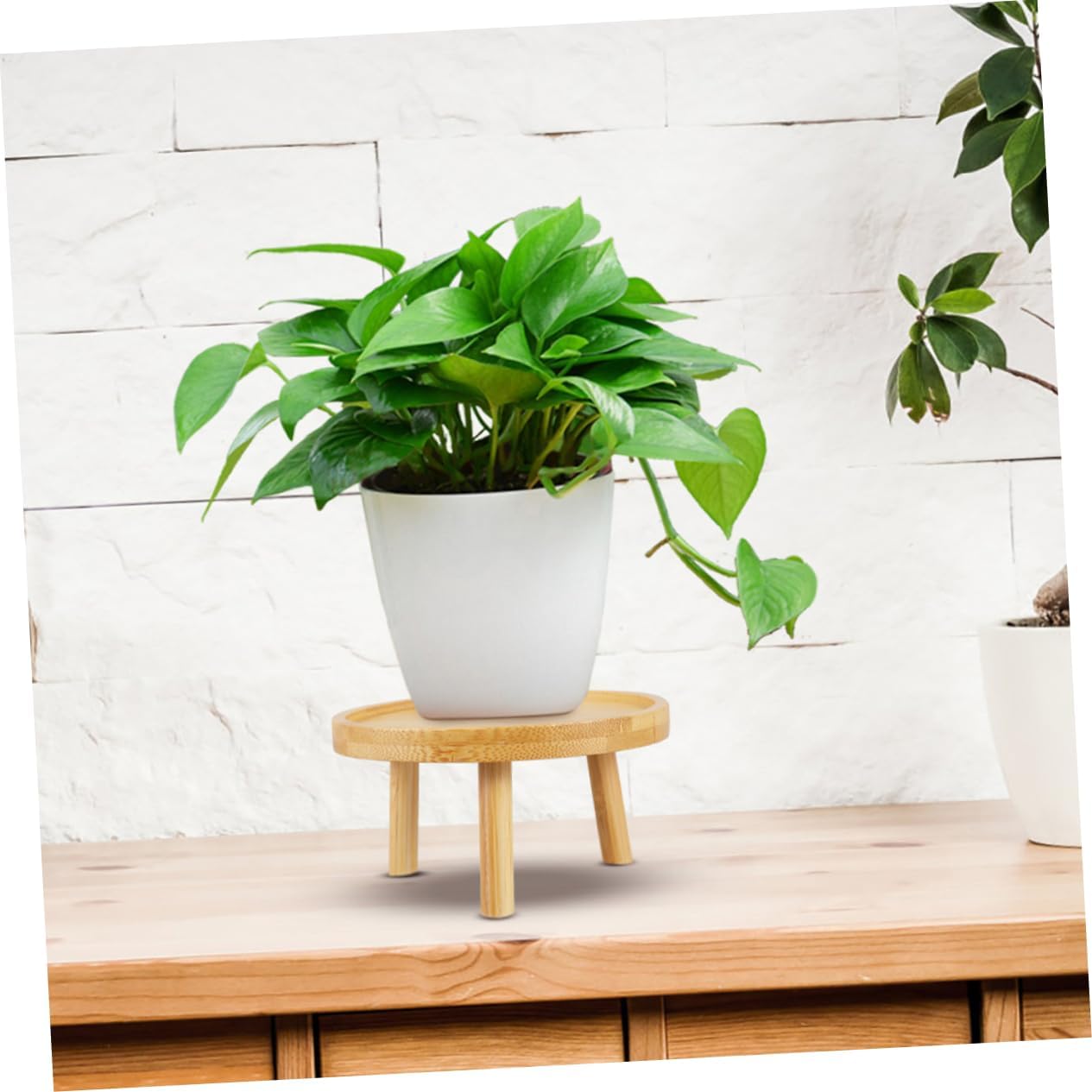 Toddmomy 5pcs Wooden Plant Pot Stand Rustic Flower Pot Holder Indoor Succulent Plant Stand