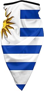 Flag of Uruguay Windproof Sports Face Mask Suitable for Motorcycle Mask Balaclava Outdoor Riding Scarf
