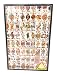 Piatnik - Playing Cards - Jigsaw Puzzle - 1000 Pc