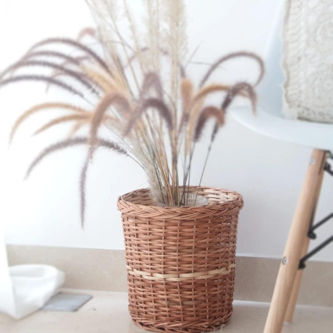 See full amazon price history chart for Indiana Crafts Cane Wicker Flower Pots for Indoor Outdoor Garden Patio Terrace Balcony Storage Baskets (Small) Indiana Crafts Cane Wicker Flower Pots for Indoor Outdoor Garden Patio Terrace Balcony Storage Baskets (Small) (B0CJXTDQM7) Amazon Price History, Amazon Price Tracker