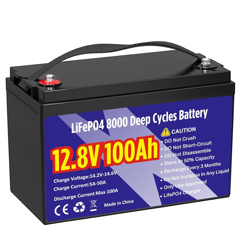 Amazon.com: 12V 100Ah LiFePO4 Lithium Battery Group 31
