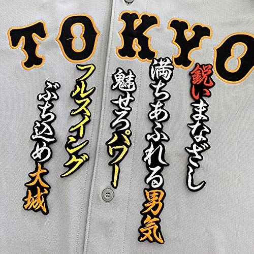 Amazon.co.jp: 読売ジャイアンツ 刺繍ワッペン 大城 応援歌ユニホーム