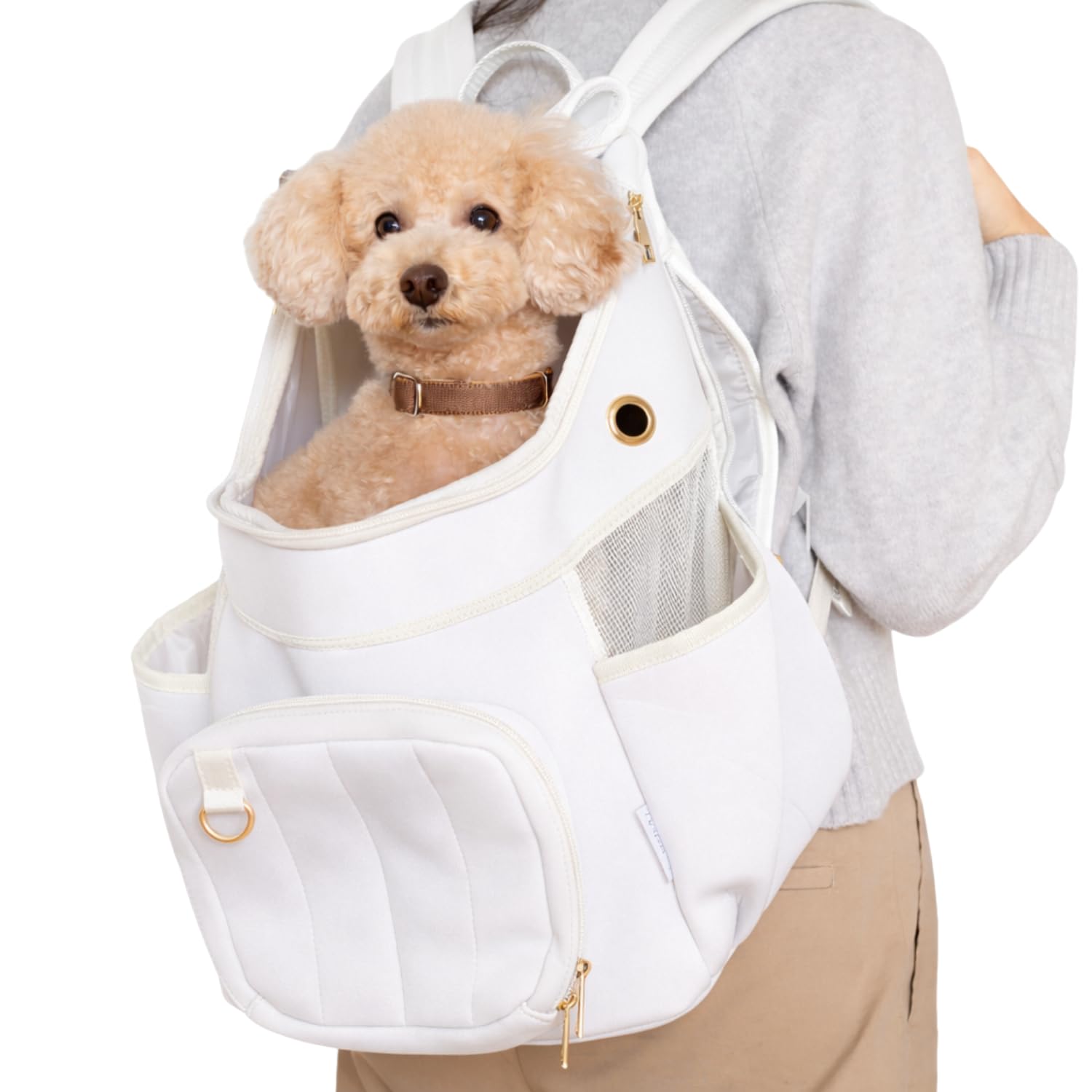 Amazon.co.jp: TOWADOG ペットキャリー 犬 リュック バックパック 小型