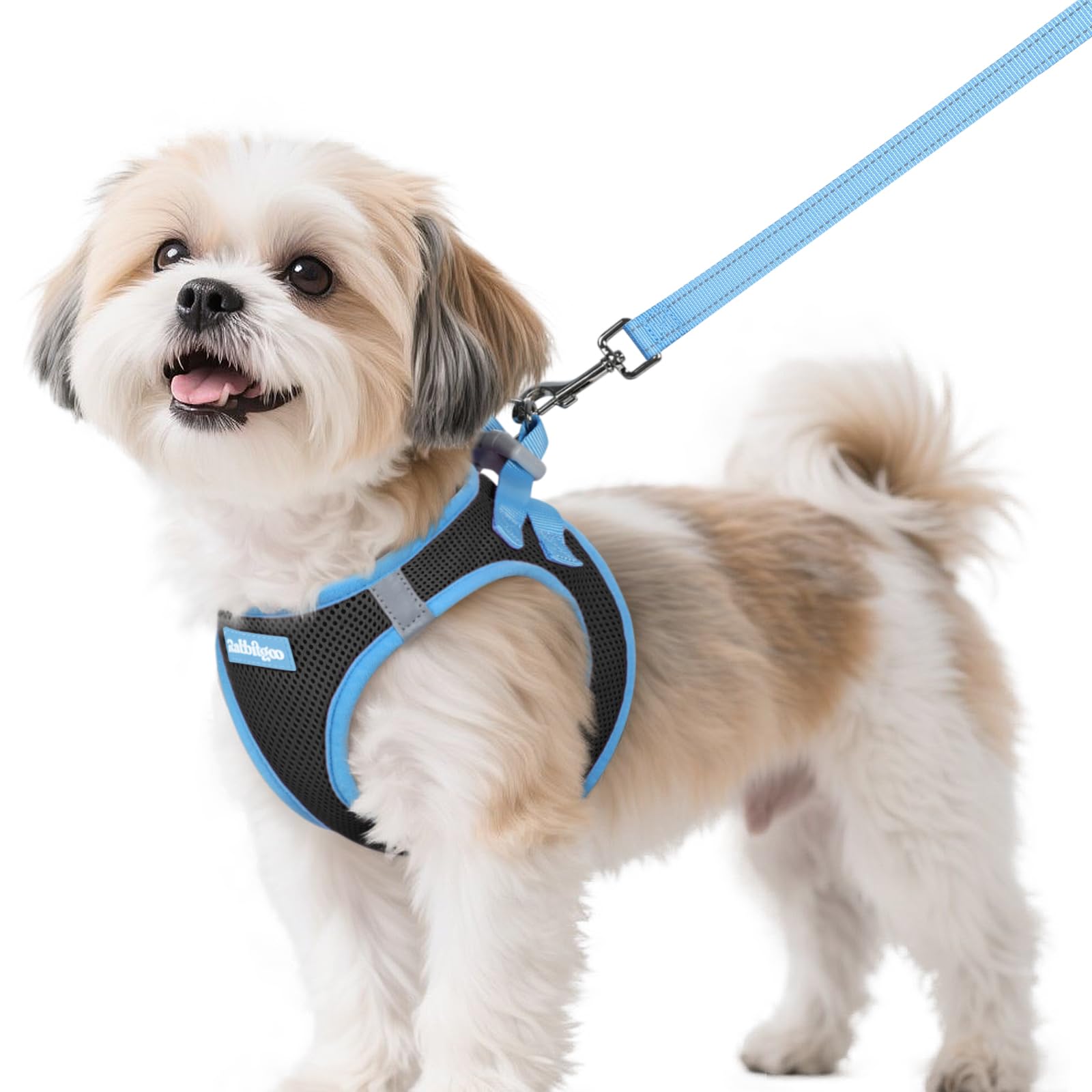 rabbitgoo Dog Harness Small Sized and Leash Set, Step-in Breathable Pet Harness, Soft Walking Reflective Puppy Vest for Small Dogs, Black & Light Blue, S