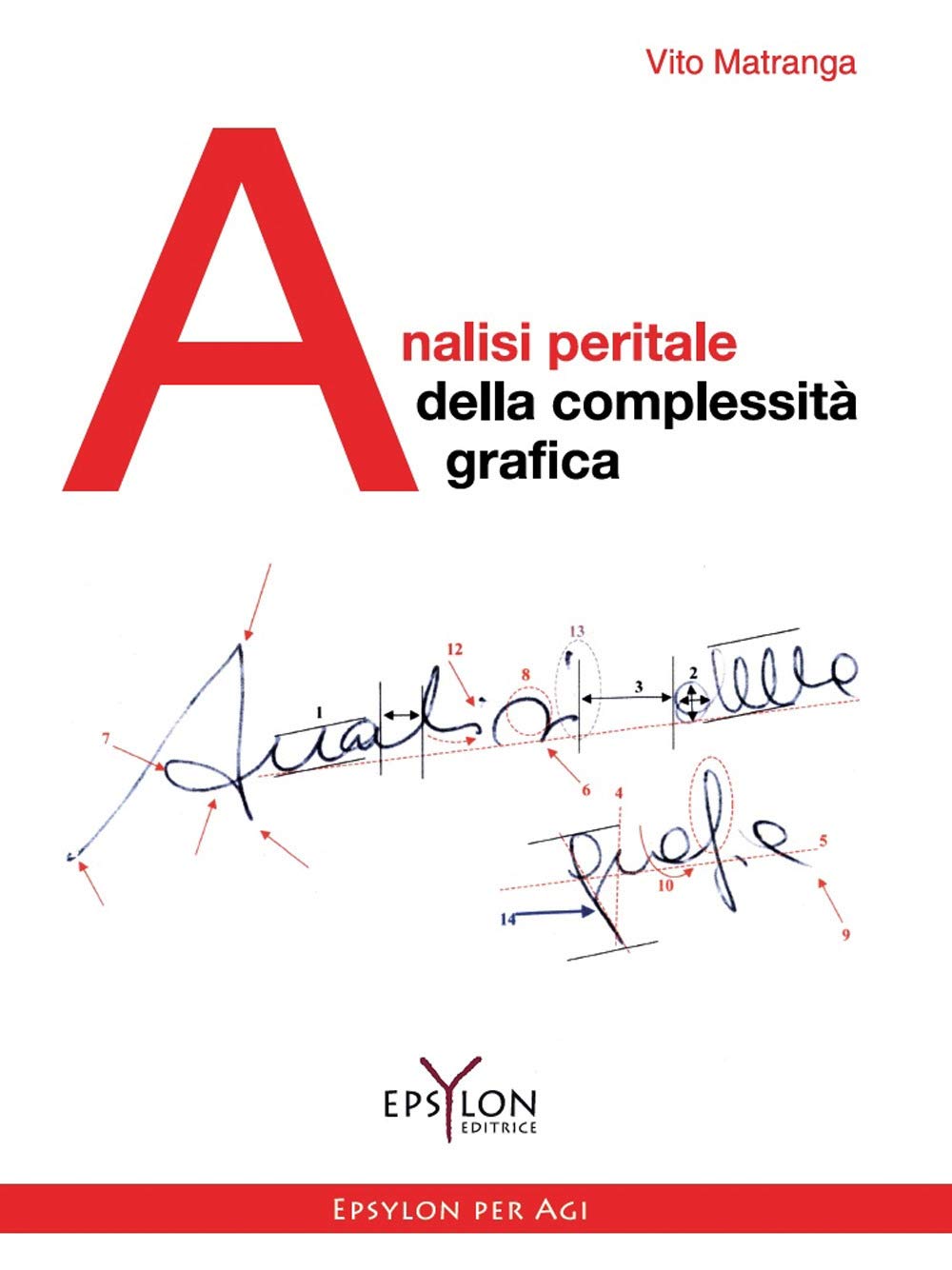 Analisi Peritale Della Complessità Grafica. Ediz. Illustrata - 4