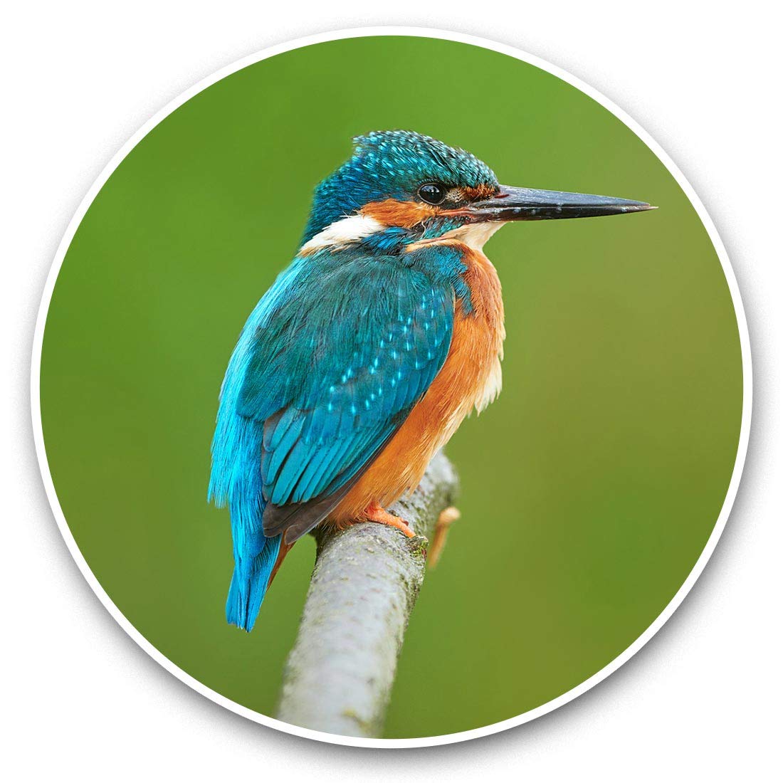 Destination Vinyl Ltd Kingfisher Blue Small Bird 45471 Awesome Vinyl Stickers (Set Of 2) 7.5Cm - Kingfisher Blue Small Bird Fun Decals For Laptops,Tablets,Luggage,Scrap Booking,Fridges #45471