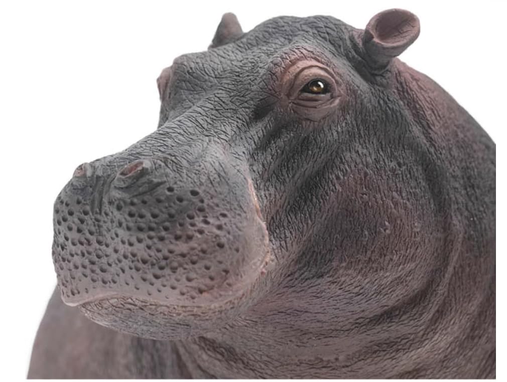 AMITD Hippopotamus Hippo Figure Realistic Animal Model Collector Decor Gift for Adult