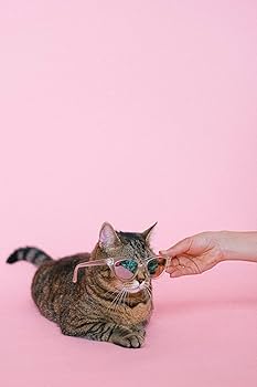 Litter Tray Cleaner Deodoriser Fresh Cat Trigger Spray | WhichOne