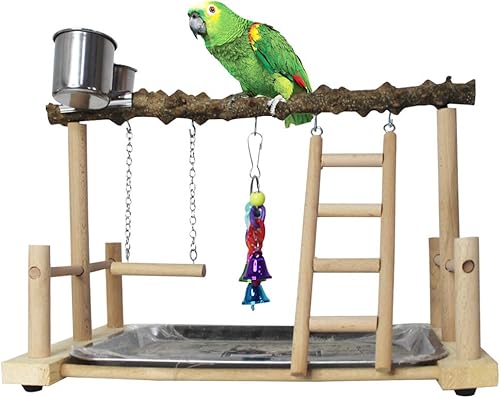 Miniatura 1 de kathson Parque infantil para pájaros, gimnasio de juegos de loros, soporte de juego de periquitos con perca de madera de fresno espinoso, soporte de