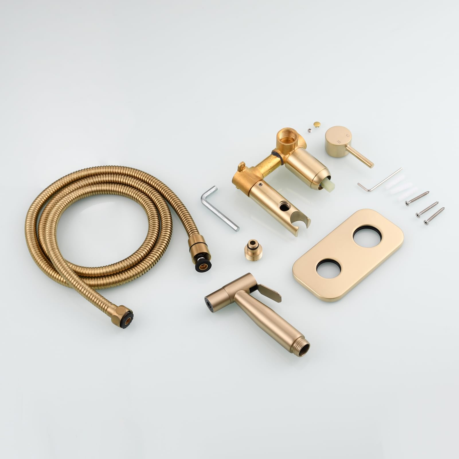 Tecmolog Acier Inoxydable Douchette WC Kit en Bidet Portable Tuyau de Douche Eau Chaude et Eau Froide Bidet Toilette Kit Complet, Or Brossé, WS024J2F2
