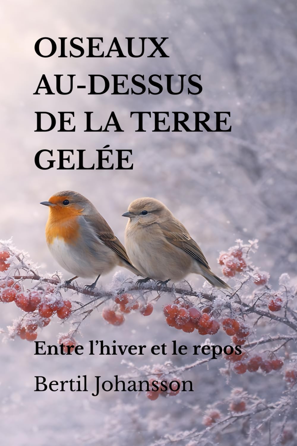 OISEAUX AU-DESSUS DE LA TERRE GELÉE: Entre l’hiver et le repos