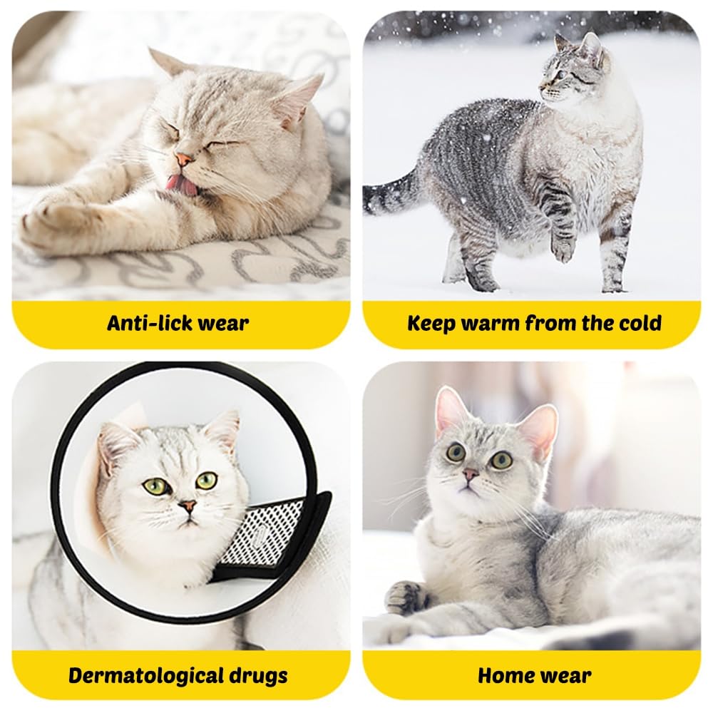 MiOYOOW Collare di protezione per gatto, morbido e regolabile, per gatti, anti-morso, collare per gatti, anti-graffio, comodo per media/grande gatto e cuccioli, blu