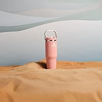 Vista 142 de Stanley - Vaso con popote plegable IceFlow con asa de 30 onzas Tapa de giro y popote abatible Botella de agua resistente a fugas Acero