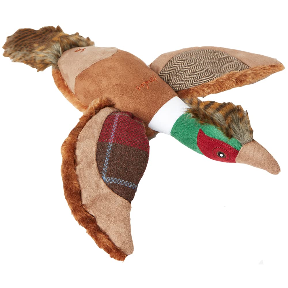 Rosewood x Joules Pheasant Dog Toy – Soft Plush with Hidden Squeaker, Durable, Interactive Pet Toy for Medium and Large Dogs, Multi-Textured Design