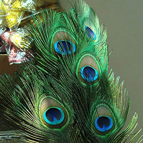 Plumas de pavo real para rellenar jarrones altos sin perder volumen 7