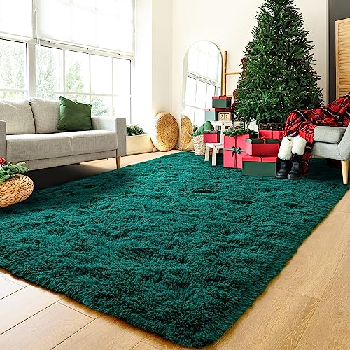 HOMORE Teal Green Rug 6x9 Feet, Large Fluffy Area Rugs for Living Room Modern Shag Rugs for Bedroom, Super Soft and Comfy Teal Carpet, Cute Carpets for Kids Nursery Girls Home