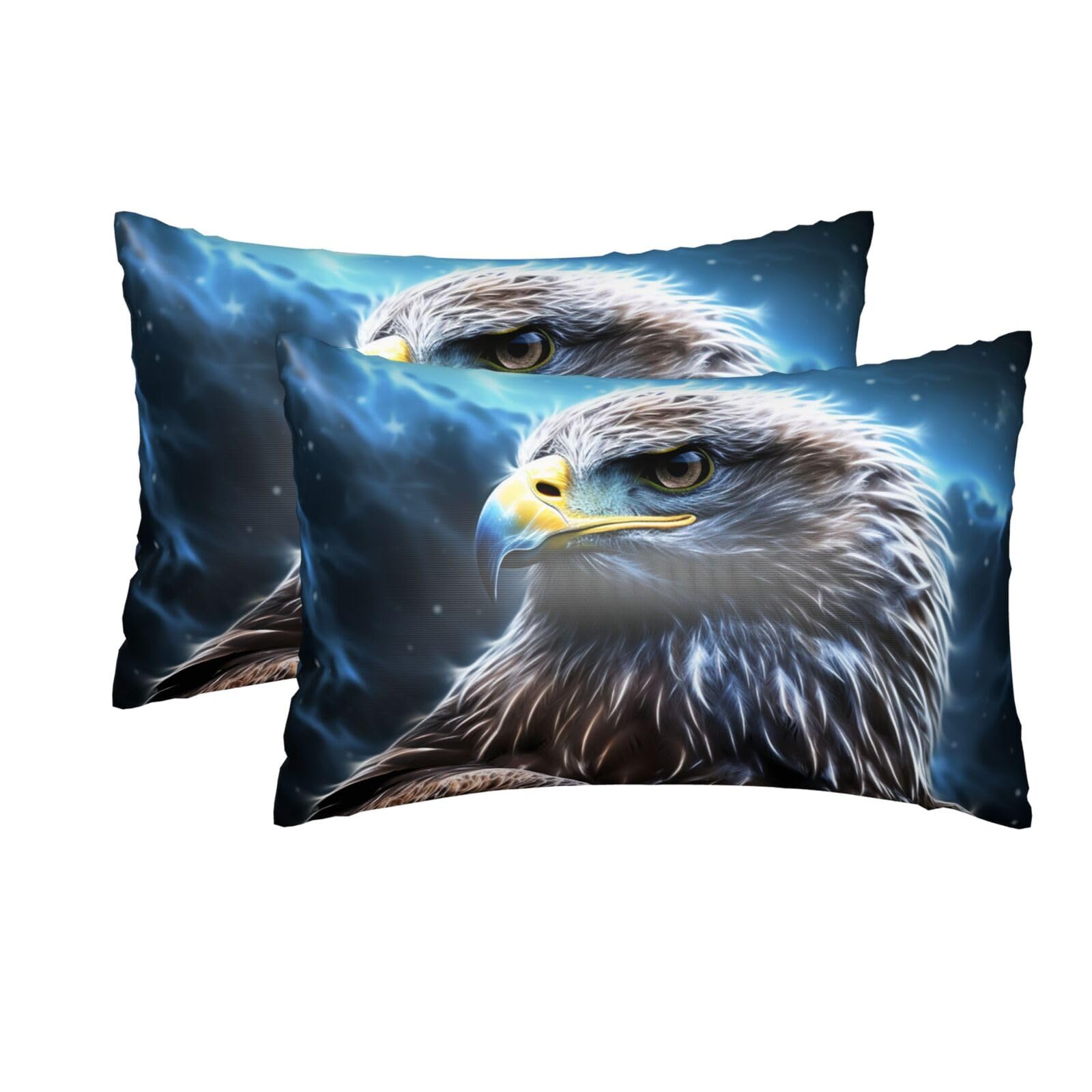2 Pack Queen Silk Pillow Cases with Hidden Zipper, Luxury Soft Satin Pillow Covers for Hair and Skin, Night Sky Eagle Pillowcases 20"x30" Bed Pillow Protectors Cover for Sleeping Gifts