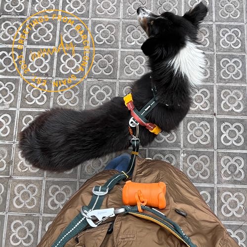 Nomadog Trailblazer Freihandleine Hund 2,4m - Doppelseitig und Stufenlos Verstellbar - Multifunktionale 6-in-1 Hundeleine mit Sicherheitskarabiner aus Aluminium - Perfekt für Jogging und Wandern