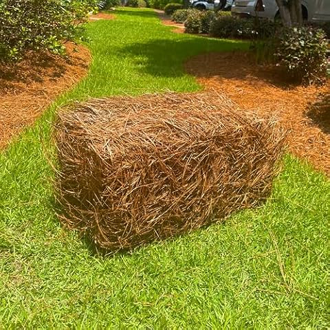 Premium Square Pine Straw Bale: Easy to Spread & Handle | Good Quality Long Needles | 65-70 Sq. Ft. Coverage | Ideal for Gardening, Landscaping, & Decoration Cover