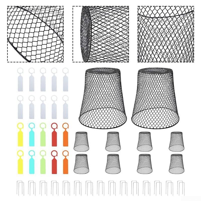 Campana de alambre para plantas, protectores de plantas de metal para animales, campanas de alambre de jardín para arbustos, verduras, pollo, herramientas de cría de jaula protectora (10