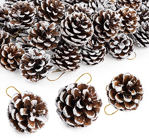50Pcs Christmas Pine Cones for Decoration, Natural Pinecones Ornament Snow Pine Cone With String for Gift DIY Crafts Home Xmas Tree Wreath Dried Garland Holiday Winter Decoration (4-6 CM)