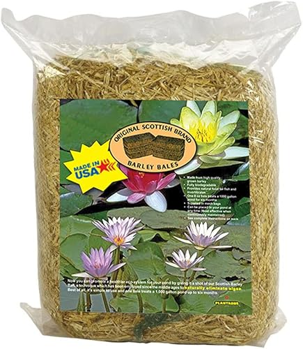 Clear-Water Bales de paja de cebada, troncos de estanque de 8 onzas, trata 1000 galones durante 6 meses (paquete de 1)