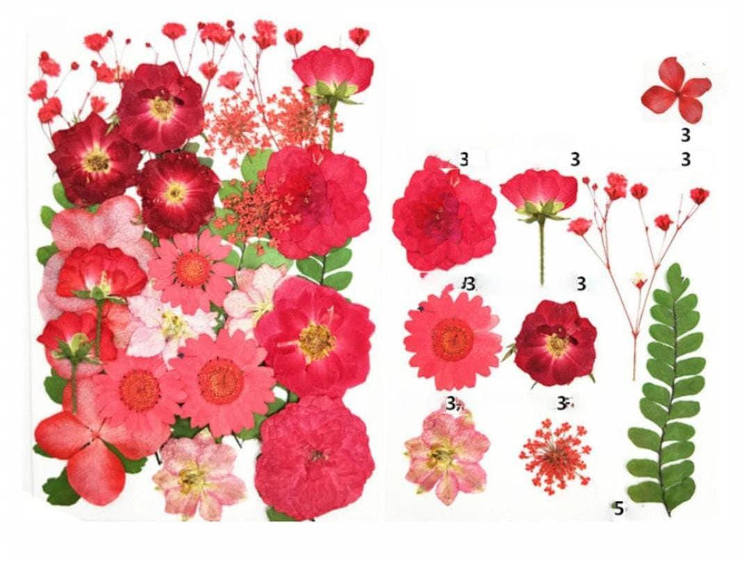 Pressed Dry Flowers for Resin Art (RED)-image-30