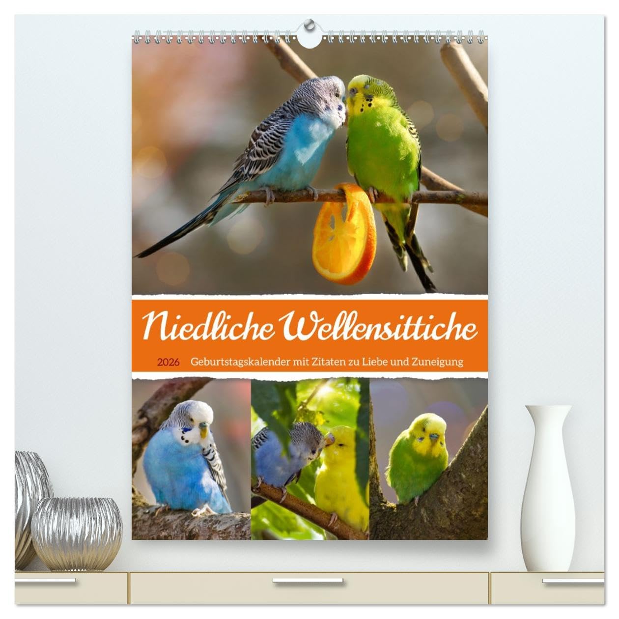 Niedliche Wellensittiche (hochwertiger Premium Wandkalender 2026 DIN A2 hoch), Kunstdruck in Hochglanz: Verspielt, fröhlich, friedlich und genügsam (CALVENDO Tiere)