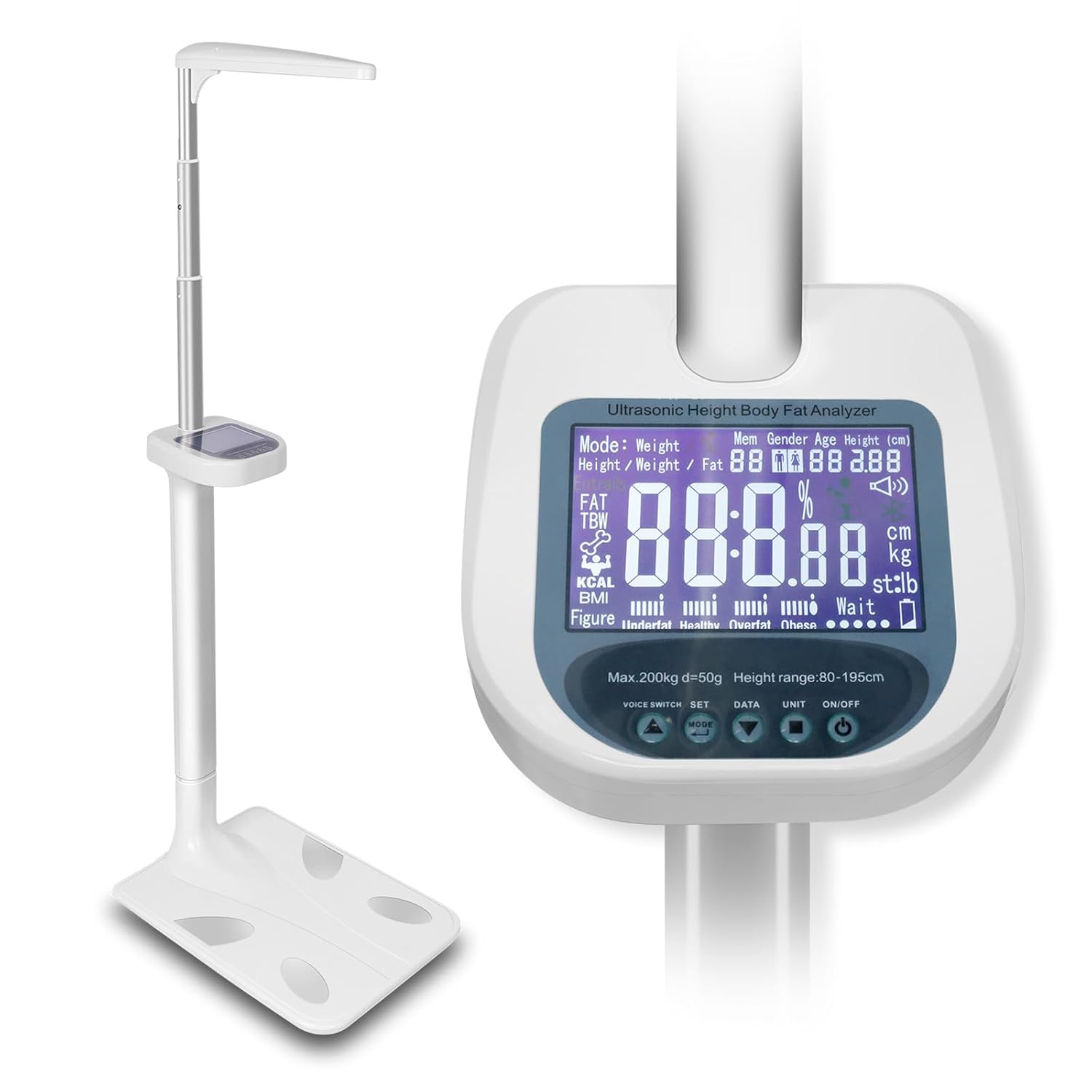 Multifunctional Medical Scale: Advanced Height, Weight, Body Fat, Muscle Mass, BMI, and Bone Density Analysis for Comprehensive Health Monitoring and Management