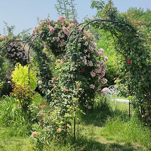 Support pour fleurs d'arbre à roses robuste et facile à assembler - 8