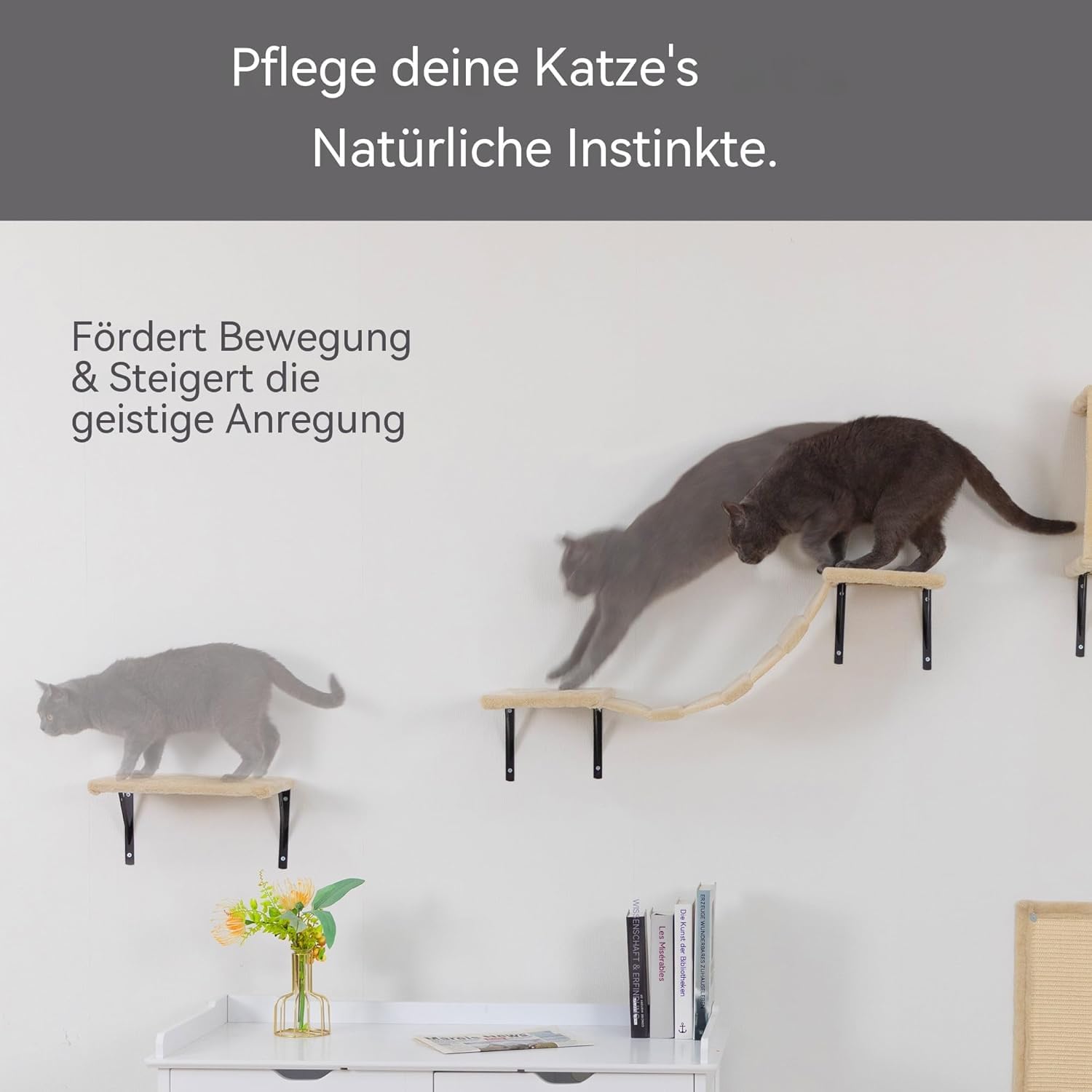 Katzen Kletterwand Set 5-teilig – Wandmontierte Katzenwand für Wohnungskatzen, mit Katzenhaus, Katzenbrücke, Kratzsäule & Kratzbrett, Platzsparend, beige