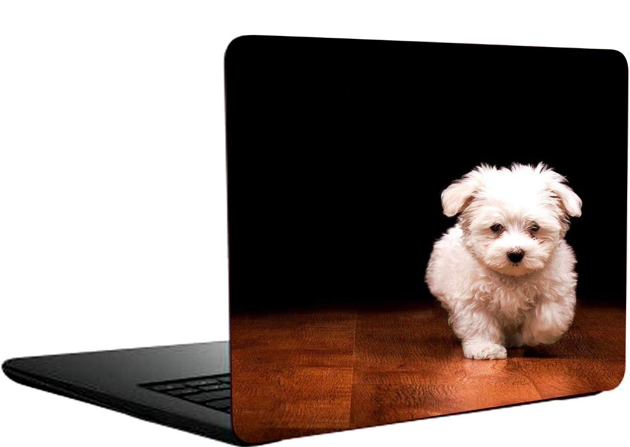 Just Rider Laptop Skin for Laptop dell,Apple,hp & All Other Brands-Models Upto 15.6 inches/Waterproof Laptop Skin Cover/Laminated Laptop Skin Sticker Cover (B08PKYF4QL) Amazon Price History, Amazon Price Tracker