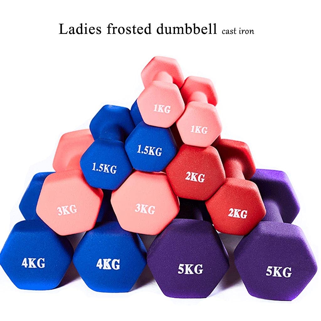 Mancuernas Pesas Recubrimiento de Vinilo Gimnasio y Ejercicios En El Hogar Impermeable y Antideslizante con Acabado Mate, Par Mancuerna pequeña (Size : 2x2kg)