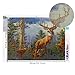 DIY 5D Diamond Painting Kit Full Diamond Deer Embroidery Square Resinstone Cross Stitch Arts Craft Supply for Home Wall Decor
