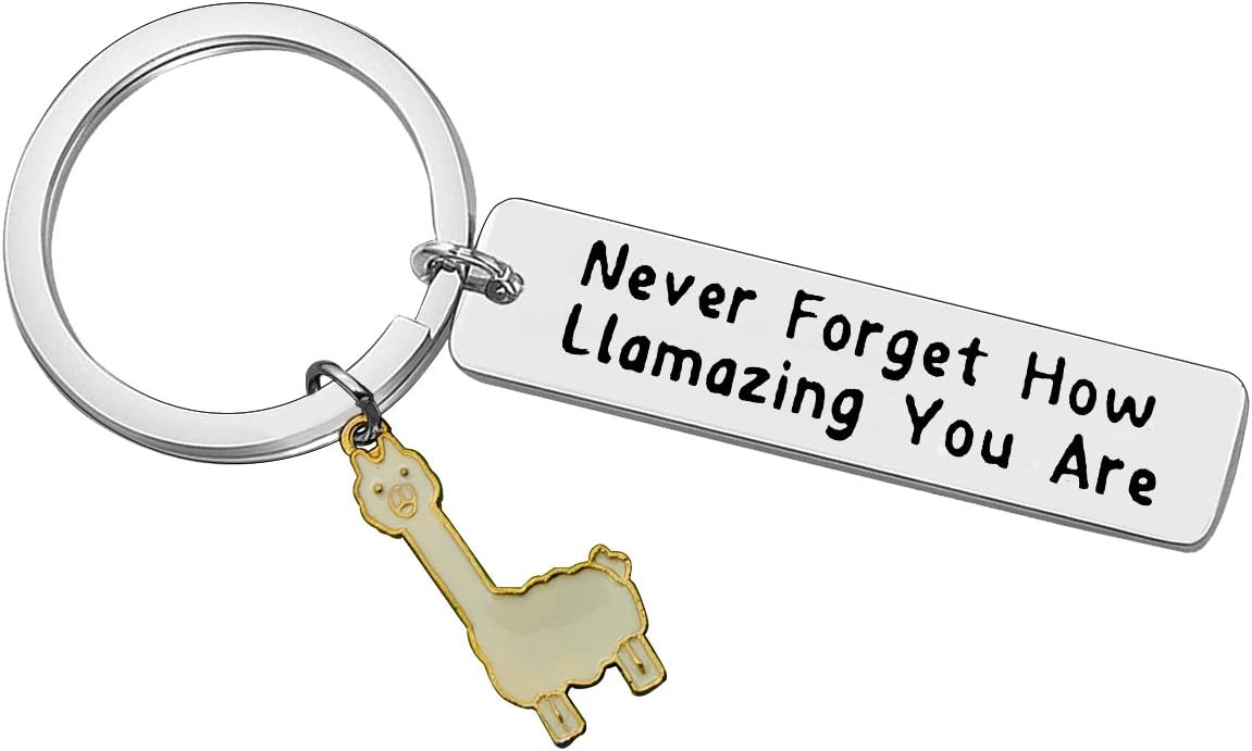 Llama Keychain Llama Gift Never Forget How Llamazing You are Keychain for Women Alpaca Gifts Animal Lover Gift Inspiring Inspired Motivational Keychains for Women,birthday gift for friends