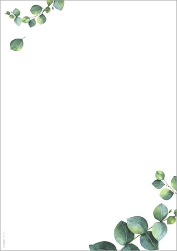 Papier à motif eucalyptus vert A4 90g SIGEL DP626 pour correspondance