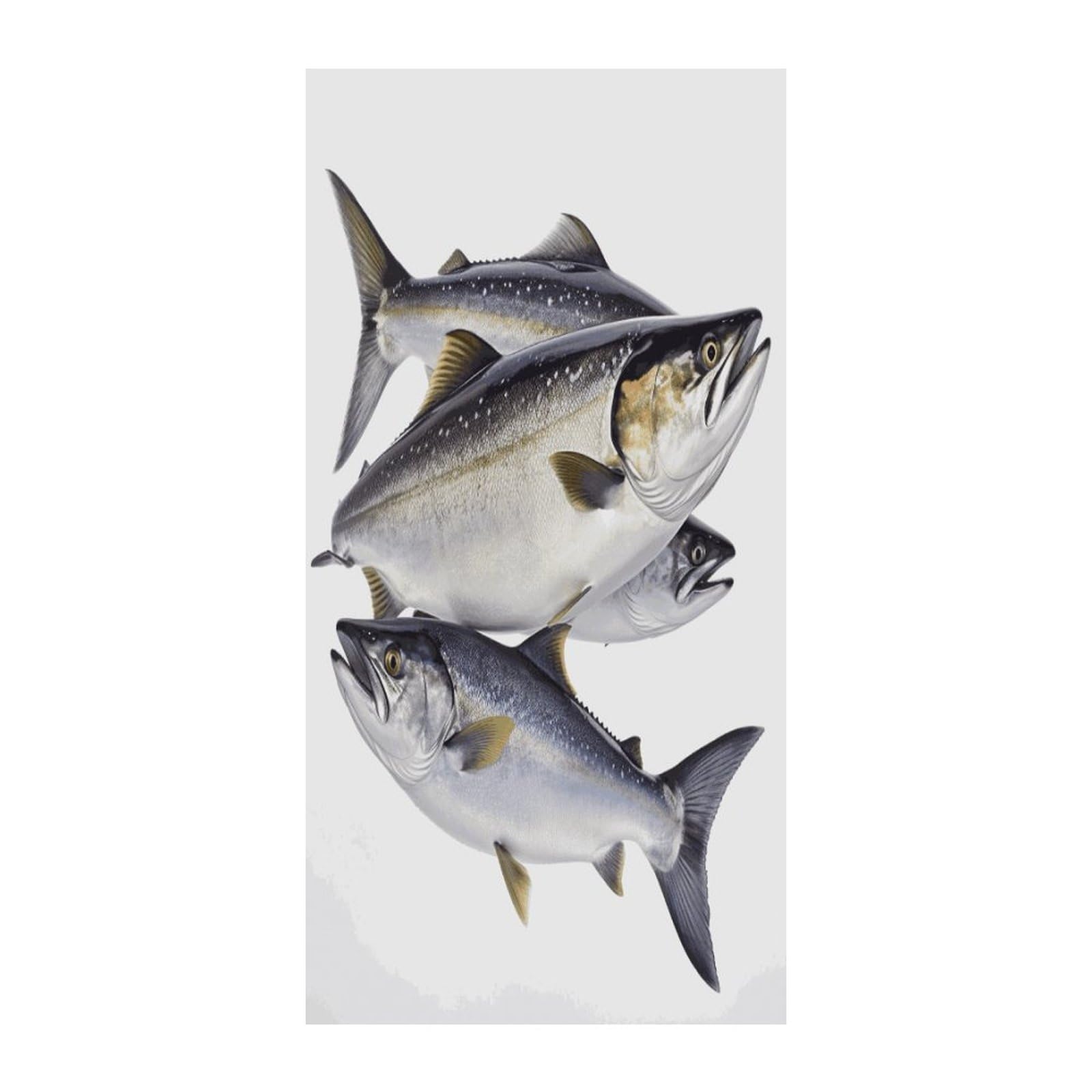Khauerbc Style Salmon Fish Blackout Curtains For Light Filtering Doorway Curtains .Room Divider Curtain As Sliding Door/Closet/Patio。French Door Curtain 70 * 35.4 Inch For Home Decors.
