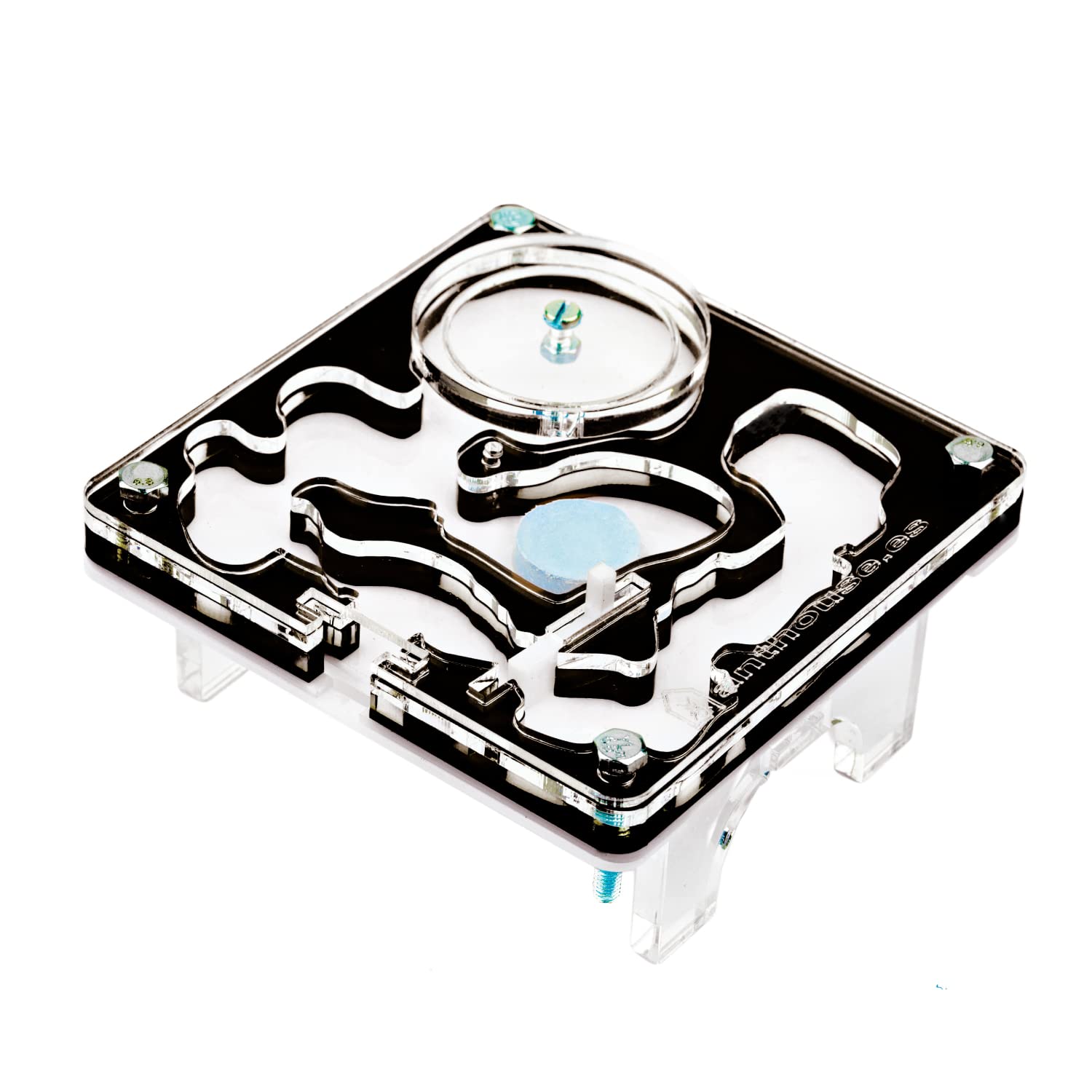 Formicaio Acrilico AntHouse 20x10x1cm Con Formiche Incluse - Sistema Umidit&agrave; Fungo, Zona Forraggiamento, Colore Marrone