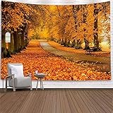 Cette belle pièce de décoration pour la maison peut être utilisée comme tapisserie, tenture murale, couvre-lit, décoration murale, art mural, couvre-lit, séparateur de pièce, rideau, nappe, dortoir universitaire, couverture de pique-nique et jeté de plage.