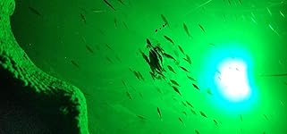 Review Image by Jenny D. Jenny D.