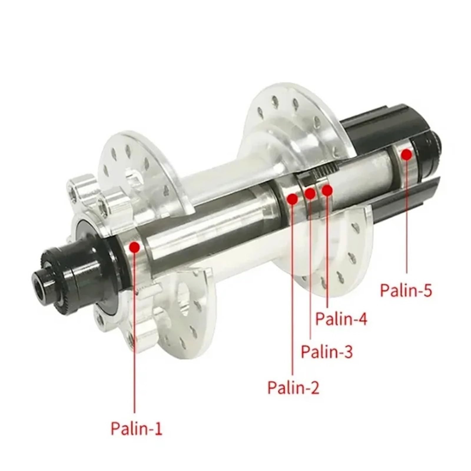 Mozzo ruota for bicicletta 32H con 12 nottolini 5 cuscinetti Tamburo freno a disco multiplo