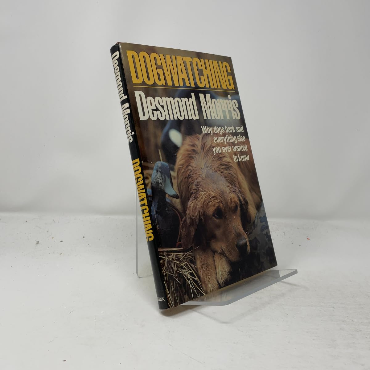 Dogwatching [Hardcover] Morris, Desmond