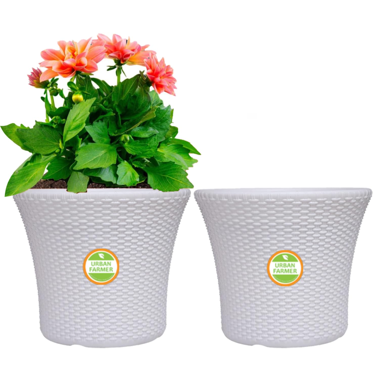 URBAN FARMER Flower Pots for home decoration, Big Size Planters, Indoor & Outdoor Home Gardening Pots for Plants, Plastic Gamla for Flowers, Herbs & Cactus Plant Pots (Pack of-2, 12 Inches) (B0CR44HKSF) Amazon Price History, Amazon Price Tracker