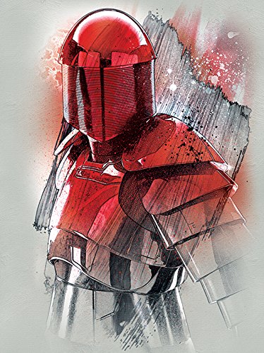 Toile Star Wars 60x80 cm pour déco geek de salon et bureau